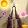 芝麻数易头像