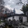 zwy头像