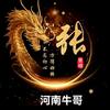 河南牛哥头像