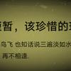 大家好头像