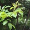 美固金钢屋顶防水（工作号）头像
