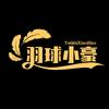 羽球小豪头像