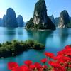 龙在江湖头像