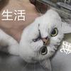 货拉拉还债版头像