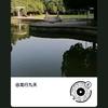 龙行九天头像