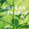 荔枝！头像