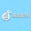 森淼足球头像