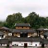 龙来了，头像