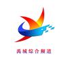 禹城综合频道官方账号头像