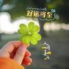 杨杨好剧头像