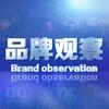 品牌观察调研行头像