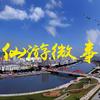 仙游微事头像