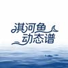 淇河鱼动态谱头像