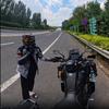 君小羊头像