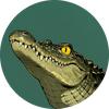 鳄进制头像