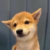 狗仔甲头像