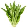 生菜造梦局头像