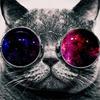 绝版功夫猫头像