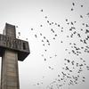 光影叙事头像