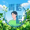 青梧头像