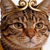 贼猫贱狗头像