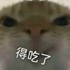 🌈绝地鼠王紫金红头像