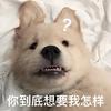 嘻嘻嘻哈哈哈嚯嚯嚯头像