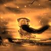麦色的猫头像