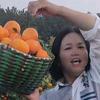 刘姐澧县桔香园头像