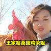 棚里见农家院桑园鸡头像