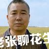 福达花生网社旗服务站官方号头像