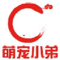 萌宠小弟头像