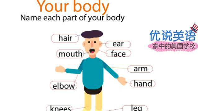 幼儿身体部位图名称 西瓜视频