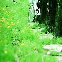 青苔上的雨露头像