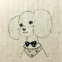 铲屎官小姐头像