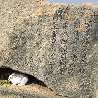 火星上来的客头像