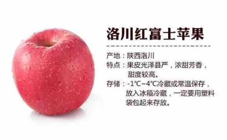 左博荣头像