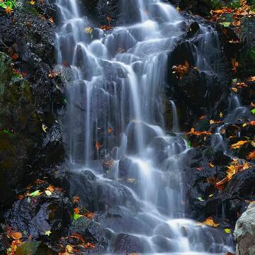 我见清泉石上流头像