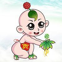 贡府堂三七头像