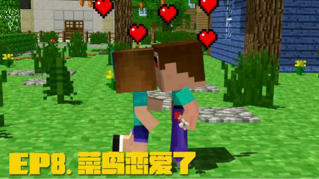 MC动画，菜鸟与小黑兄弟系列EP8，菜鸟恋爱了