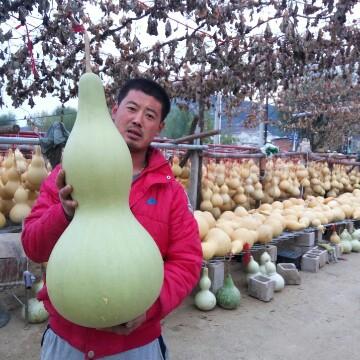 杨大平葫芦之家头像