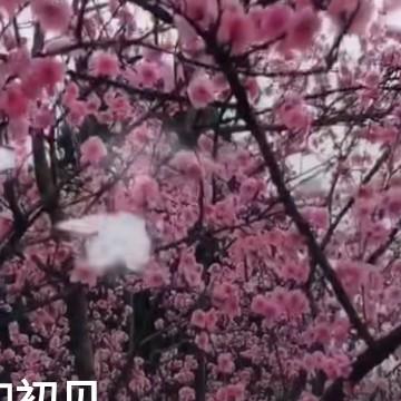 灵灵手工课堂头像
