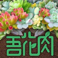 吾花肉APP头像