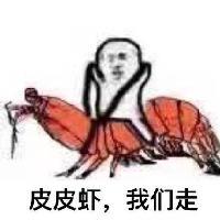 爱游皮皮虾头像