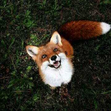 国服first超级兵头像