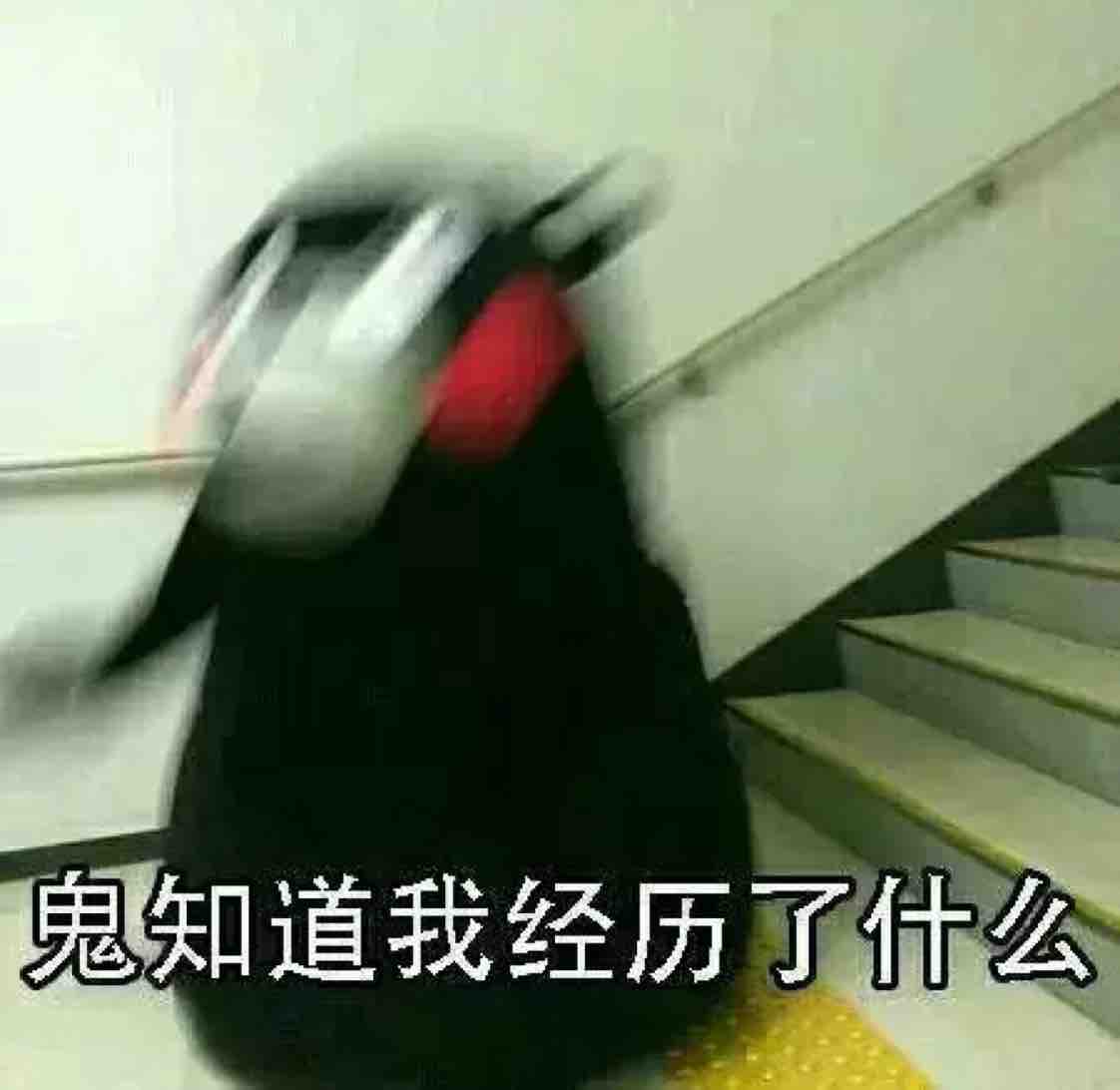 王尼玛出门去了头像