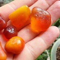 琥珀蜜蜡知识汇头像