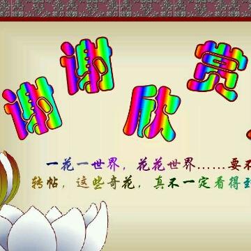贾大使头像