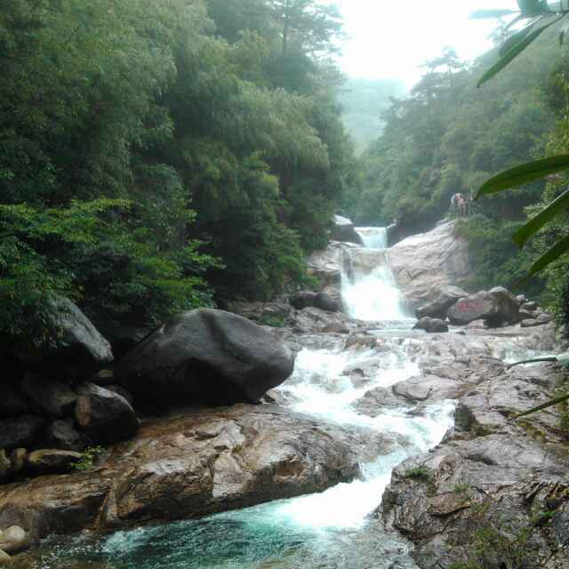 竹林風158096772的個人主頁 - 西瓜視頻