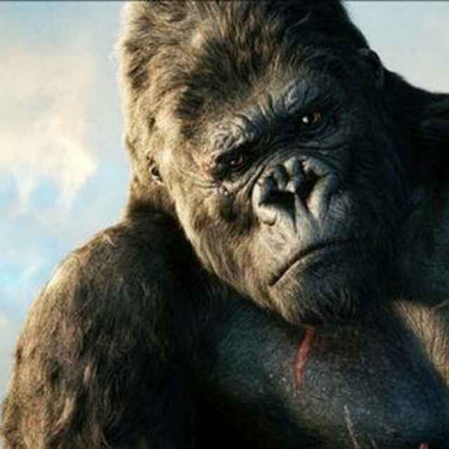 金刚158596787头像